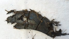 20180512_175958.jpg