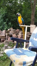 20160730_185226.jpg