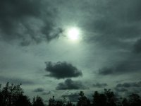 IMG_2361.jpg