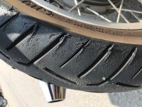 image1.jpeg