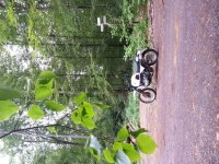 20180511_151119.jpg