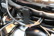 IMG_4949web.jpg