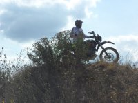 SAM_3852.jpg