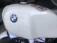 IMG_3387.jpg