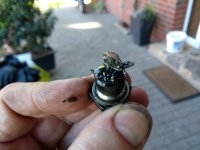 IMG_20180927_163214737.jpg