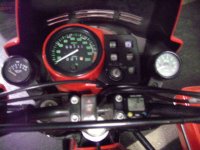 IMG_7079.JPG