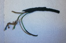 Kabel.jpg