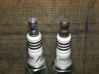 DSCN3495.jpg