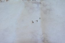 DSC_9821.jpg