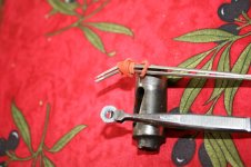 IMG_5723[1].jpg