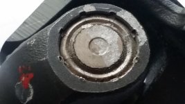 20190503_145916.jpg
