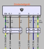ZSG.jpg