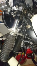 DSC_0246.jpg