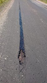 Tourance on Bitumen.jpg