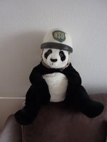 NSU Panda .jpg