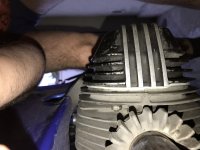 IMG_0702.jpg