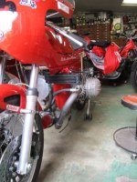 IMG_2181.jpg