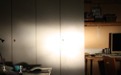 IMG_2188_cr_Halogen_Fern.jpg