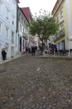 P1140130a.jpg