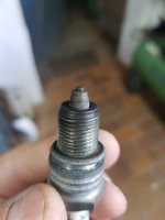 20191006_113503.jpg