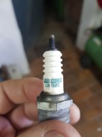 20191006_113452.jpg