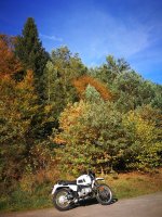 IMG_20191026_161010.jpg