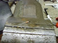 SNV31900a.jpg