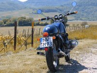 Img_6441_goldene Felder.jpg