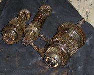 Innereien-lösen-5.jpg