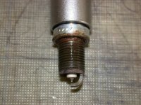 NGK Iridium.jpg
