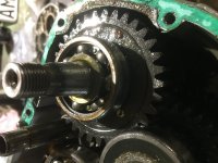 C8AB42D8-74E8-4A3F-AF37-D1C4B0B8DAA3.jpg