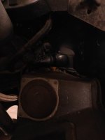 IMG_20200715_071839.jpg