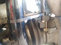 IMG_20200731_183925.jpg