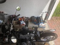 IMG_7010.jpg