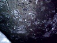 StillSnapshot000002.jpg