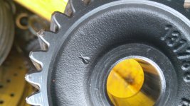IMG_20201006_155354.jpg