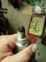 IMG_20200702_222557.jpg
