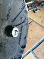 IMG_20201031_145205.jpg