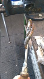 IMG_20201107_133557.jpg