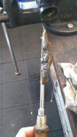 IMG_20201107_133559.jpg