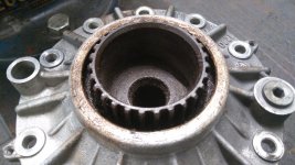 IMG_20201109_082341.jpg