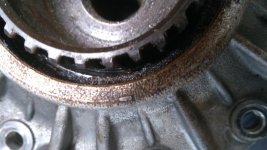 IMG_20201109_082347.jpg