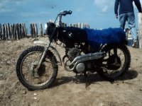 1980NeuHawaii0049a.jpg