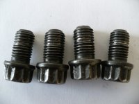 P1080025a.jpg