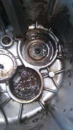 IMG_20201127_150515.jpg