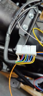 IMG_20201128_141822.jpg