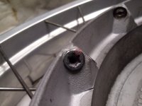 20201205_093351.jpg