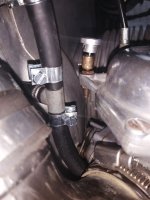 IMG_20201207_090016.jpg