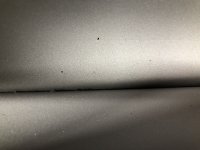 IMG_4695.jpg