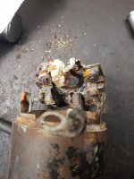 bosch.jpg